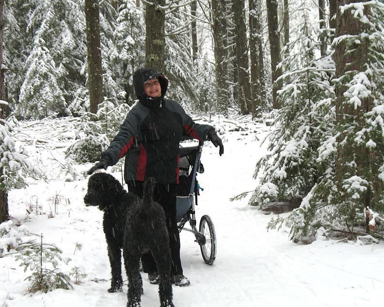 Wis_woods12-06-6-displ.jpg