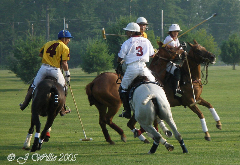 Saratoga Polo