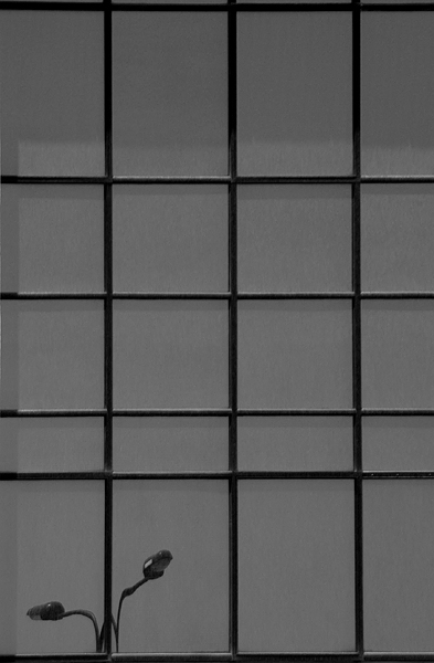 Reflection-2