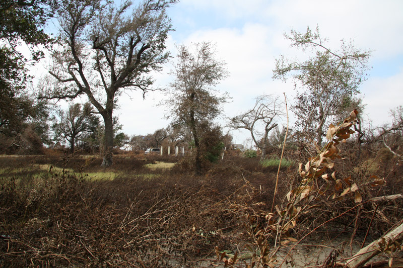 Looking back across old home site.