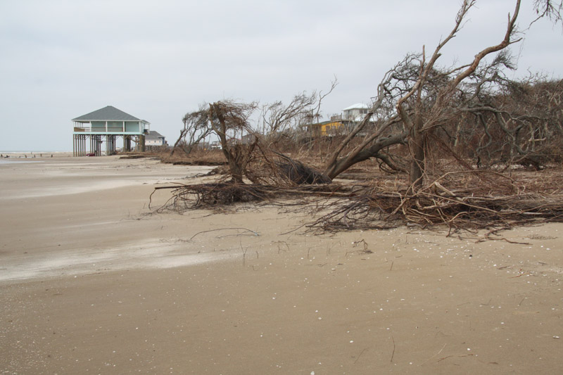 New sanctuary beach front.
