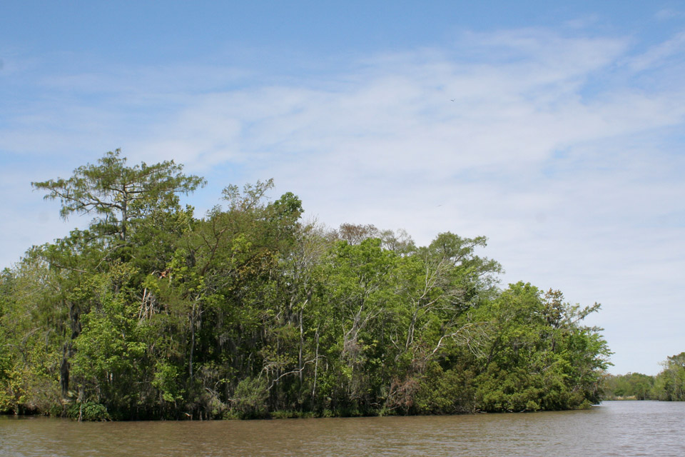 Habitat along Vermilion River, Louisiana