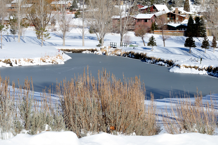 9621 Pond