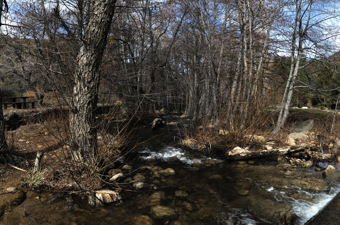 DSC_19994x.jpg