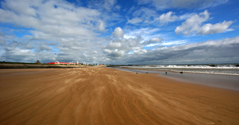 Beach Lines