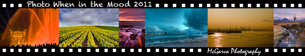 Photo When in the Mood 2011 Banner