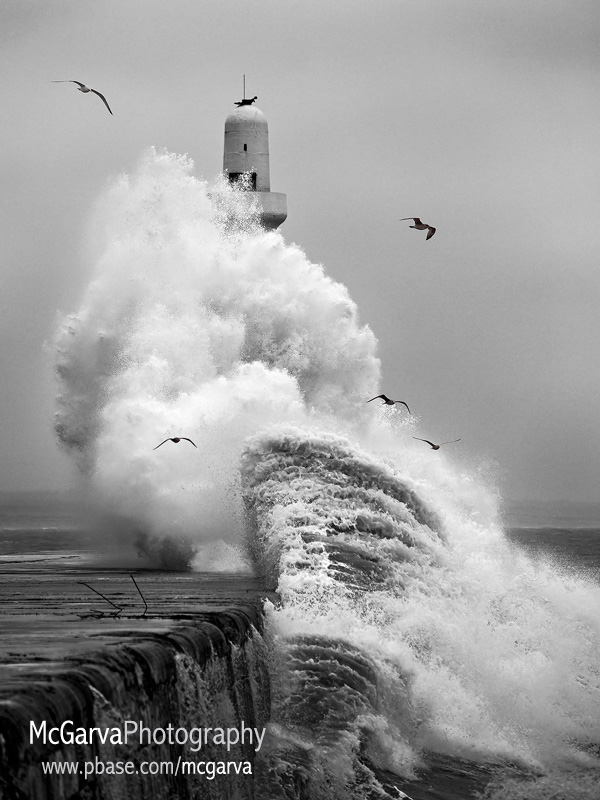 High Tide BW