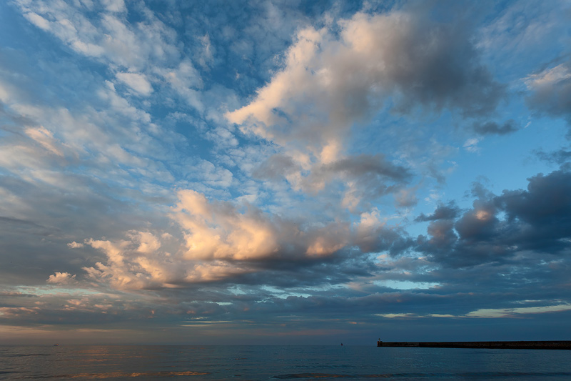 Evening Light!