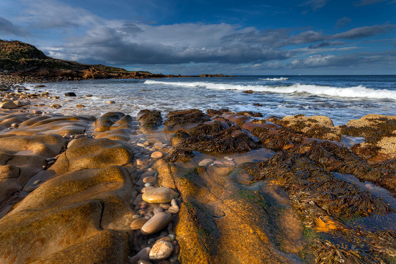 Moray Moods!