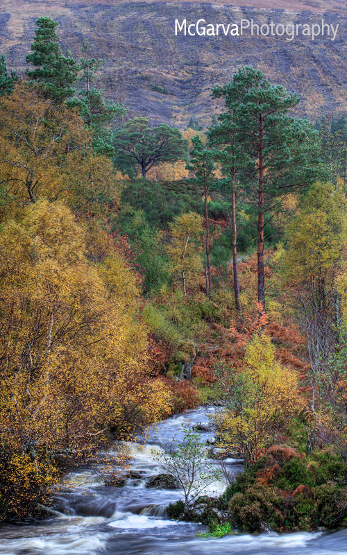 Autumnal Torridon