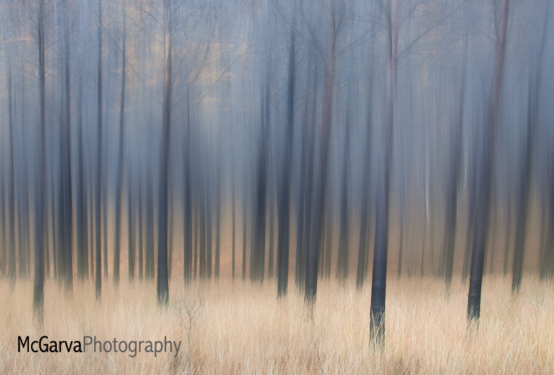 Abstract Larches