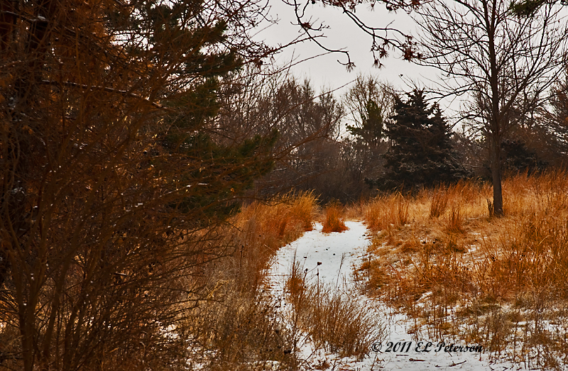 What is at the end of this path?  You will have to follow it to find out.