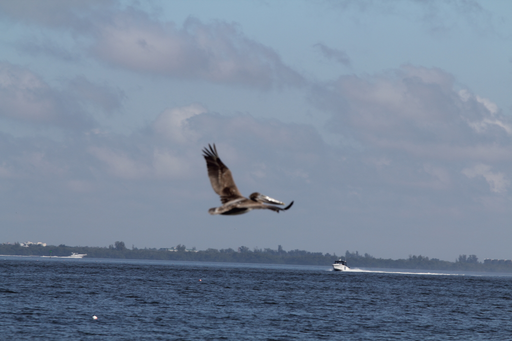 IMG_1774e.JPG