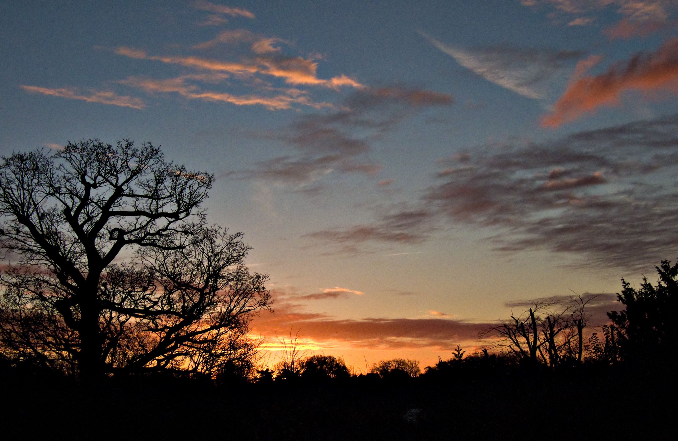Sunset_from_bedroom_7036-1.jpg