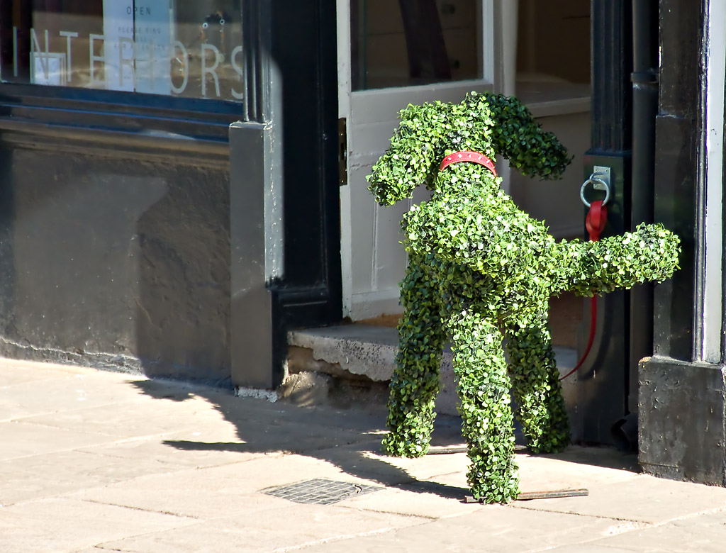 Topiary_7349_ed1.jpg