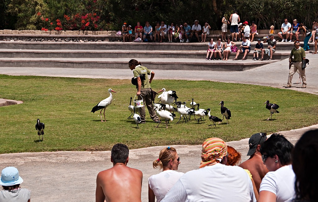 DSC_6928_N-D5k_ed1_W1024.jpg