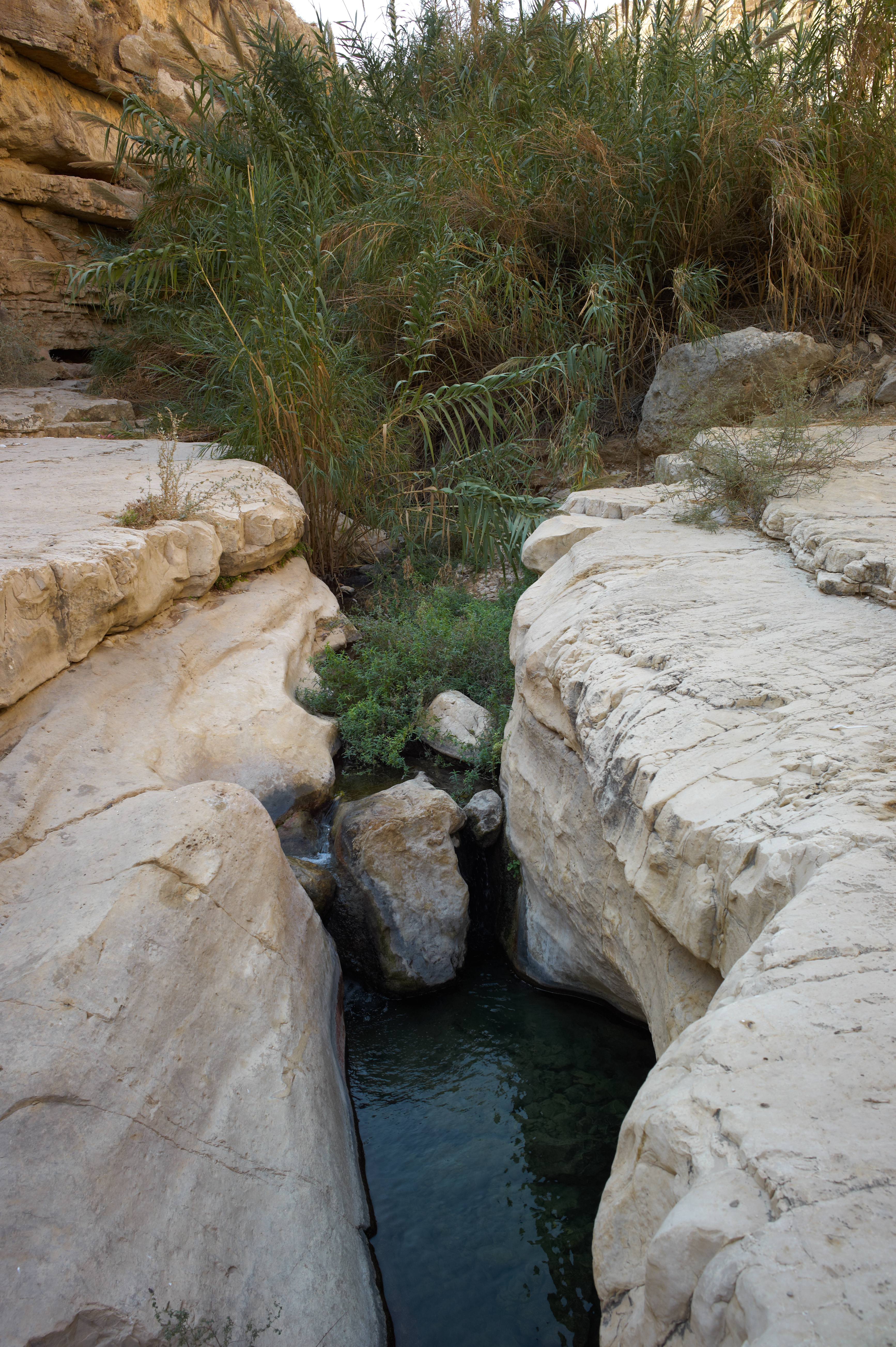 L4006734.jpg