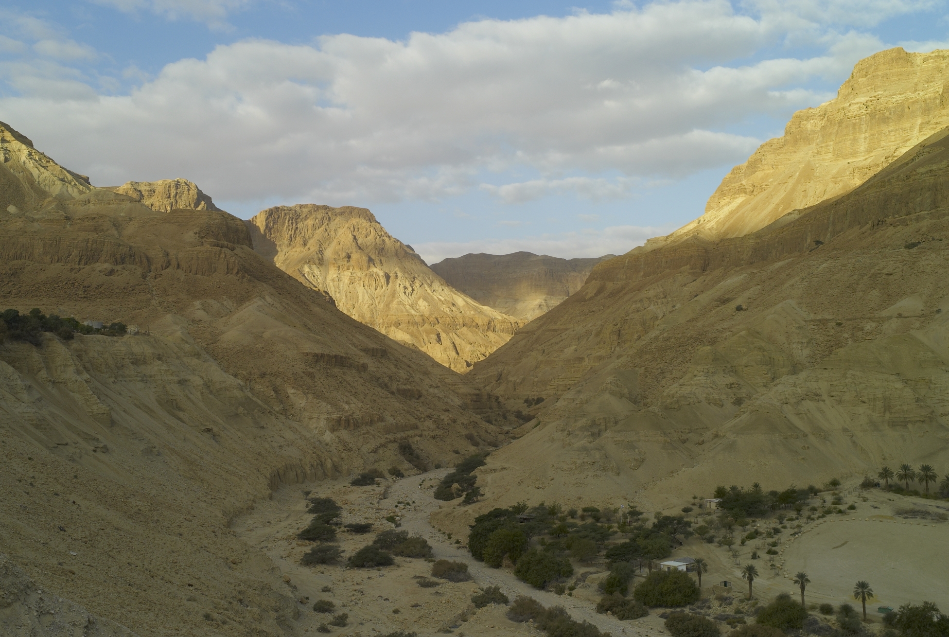 L1000707.jpg