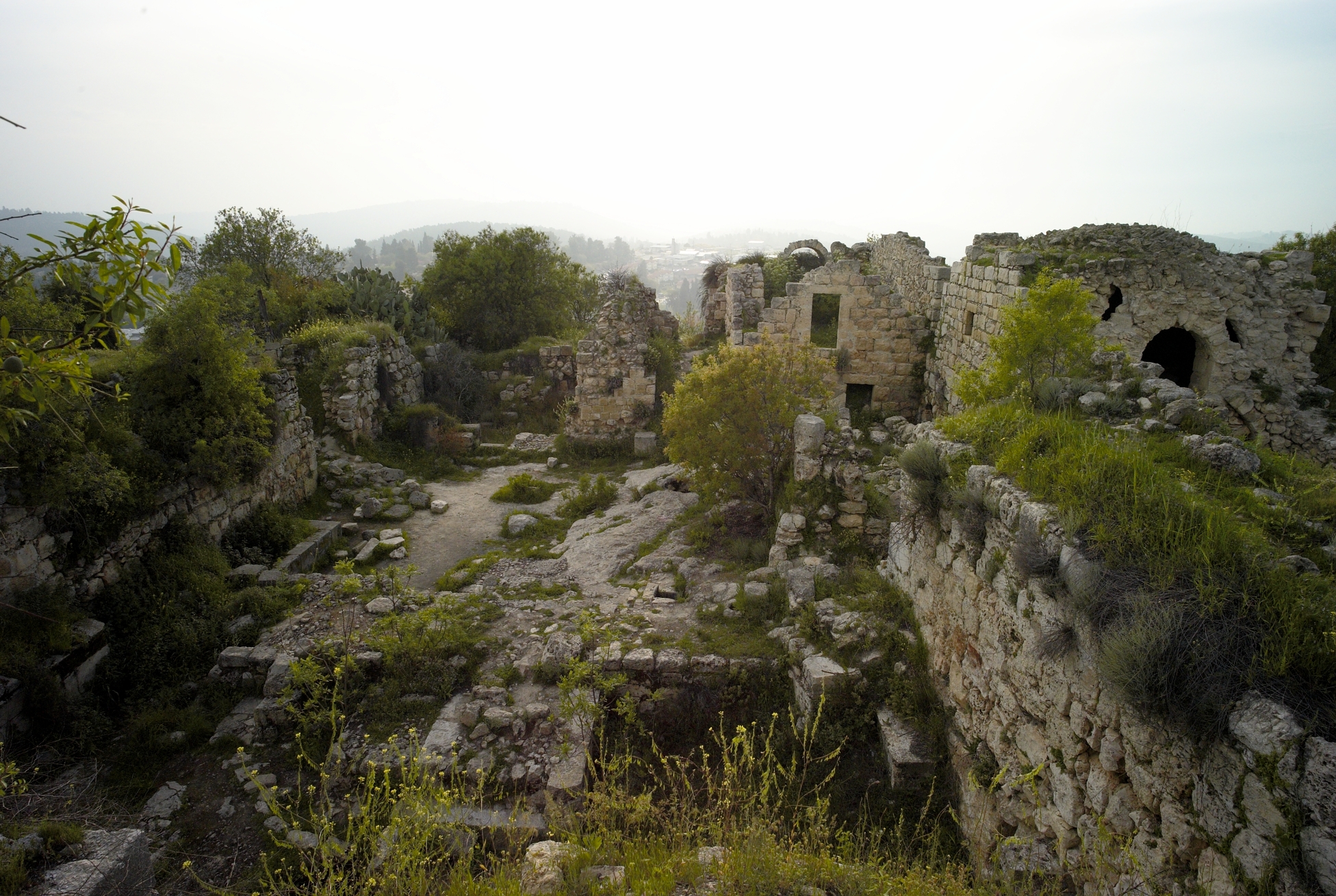 L1002649.jpg