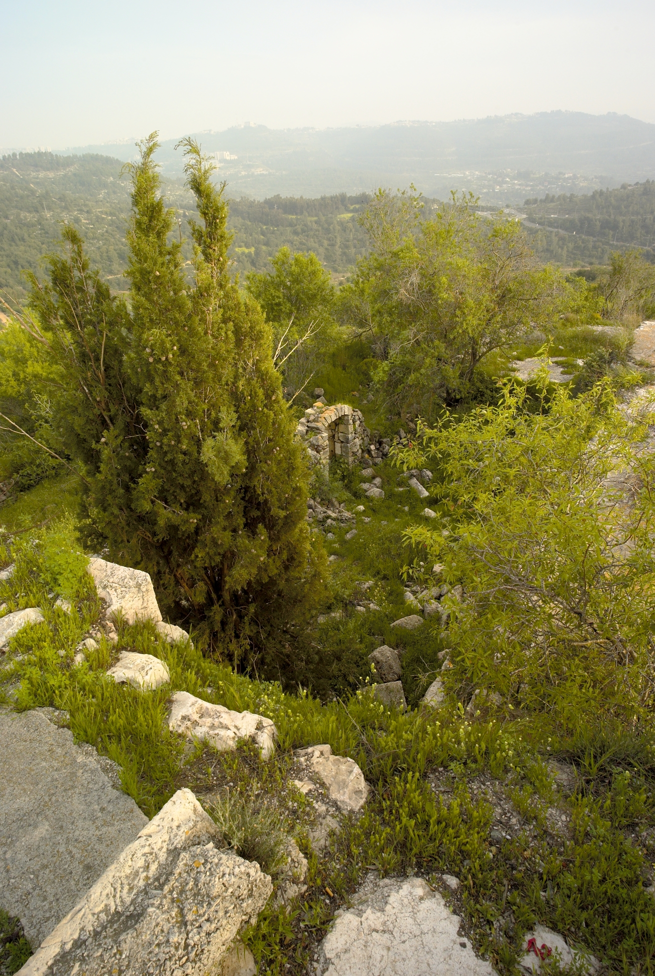 L1002648.jpg