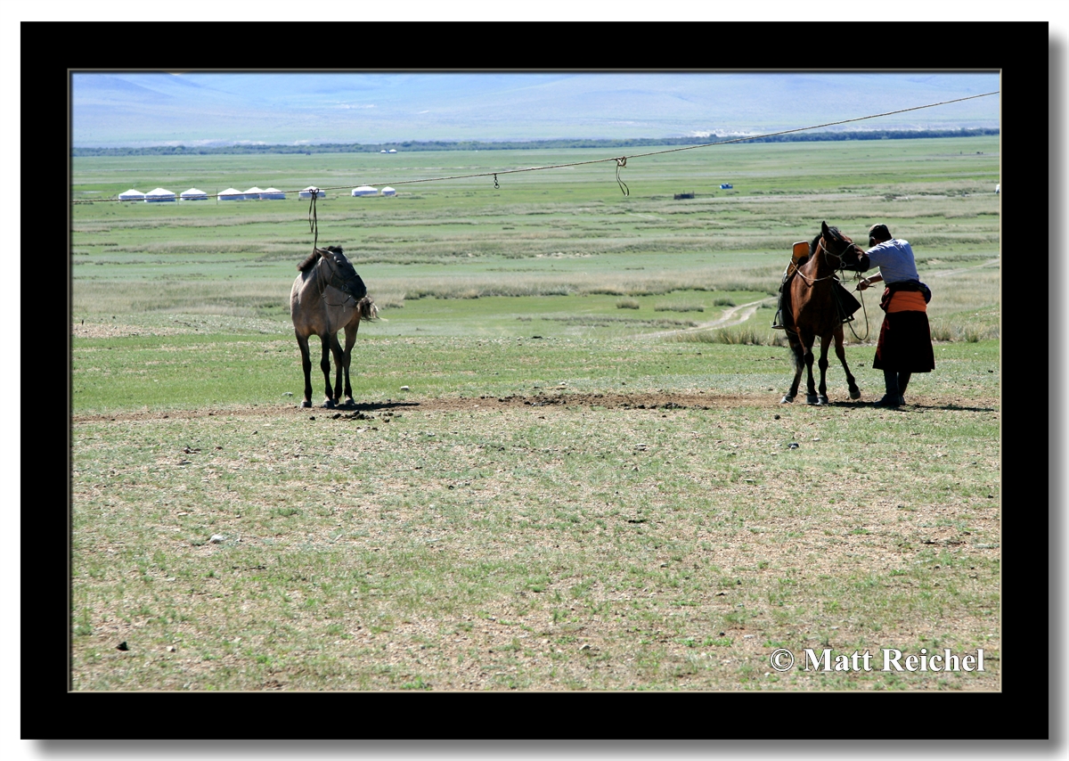 Untying the Horse, Altan Bulag, Mongolia