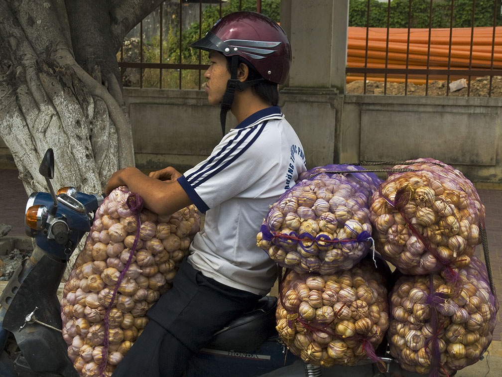 <B>Garlic</B> <BR><FONT SIZE=2>Sa Dec, Vietnam - January 2008</FONT>
