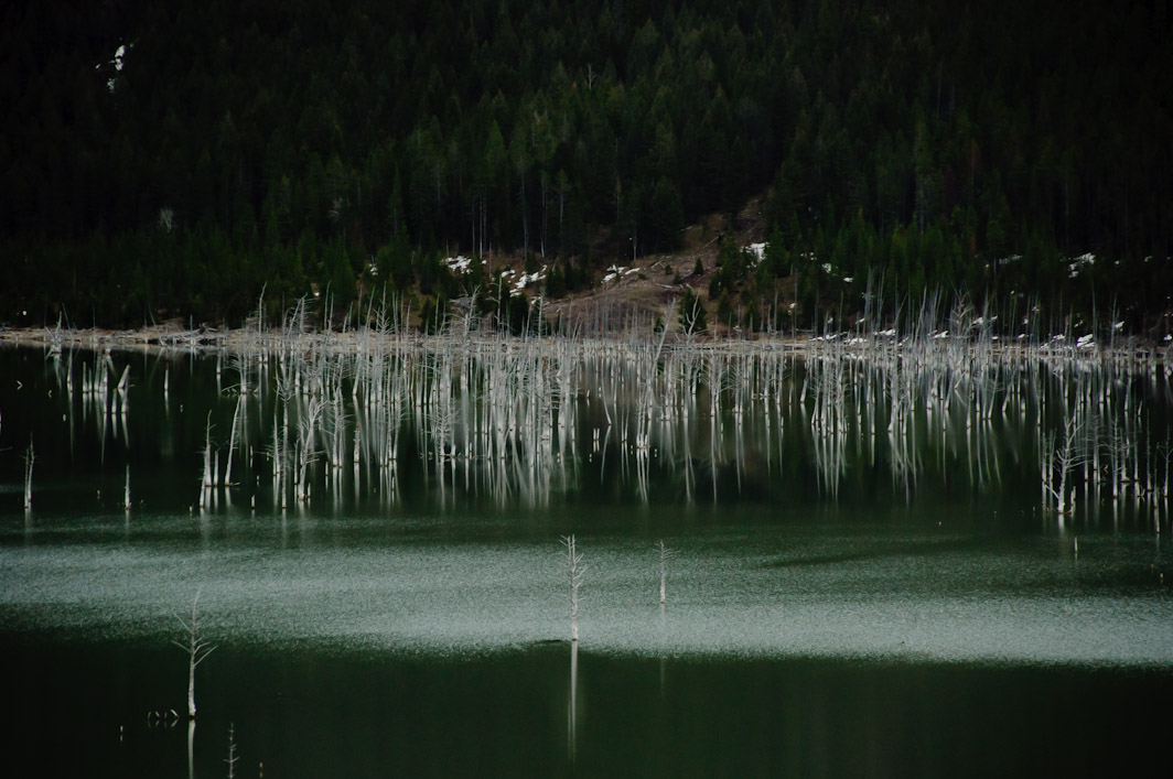 <B>Isolated</B> <BR><FONT SIZE=2>Earthquake Lake, Montana - May 2010</FONT>