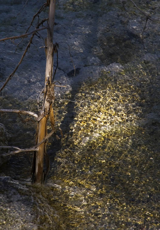 <B> Light Dance</B> <BR><FONT SIZE=2>Canary Spring, Yellowstone National Park, September 2006</FONT>