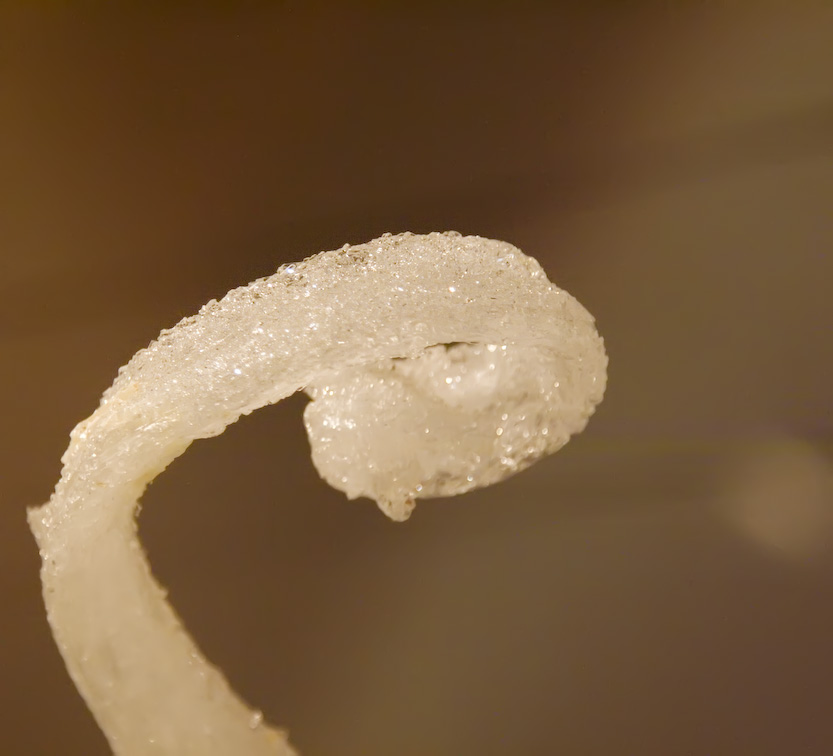 <B>Mineral</B> <BR><FONT SIZE=2>Cambridge, Massachusettes, April 2007</FONT>