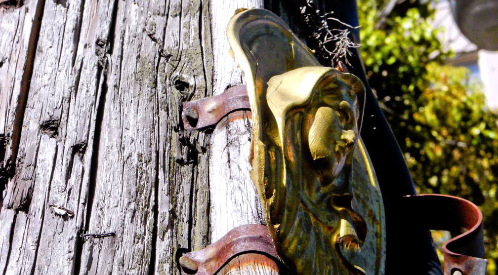 <B>Madonna of the Telephone Pole</B> <BR><FONT SIZE=2>Berkeley, California, 2007</FONT>