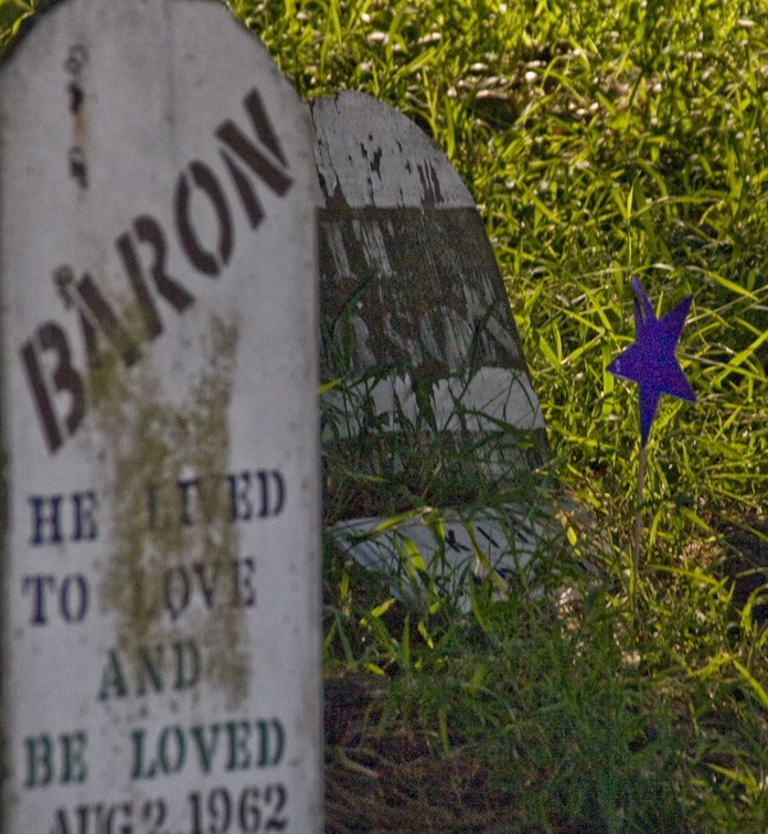 <B>Lived to Love</B> <BR><FONT SIZE=2>Pet Cemetery, Presidio, San Francisco, CA, 2007</FONT>