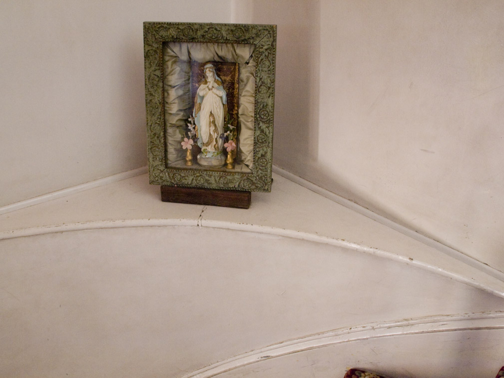 <B>Devotion</B> <BR><FONT SIZE=2>Sonoma County California, June, 200</FONT>