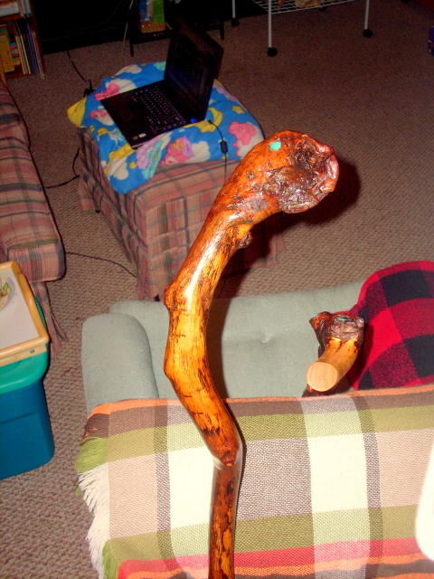 A Better View of Ol Snakeye
