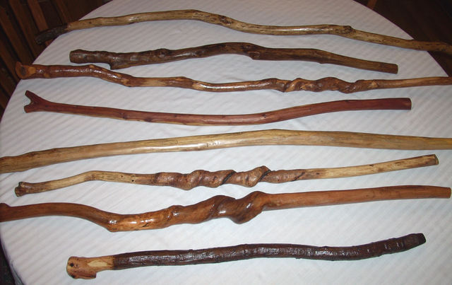 The Collection