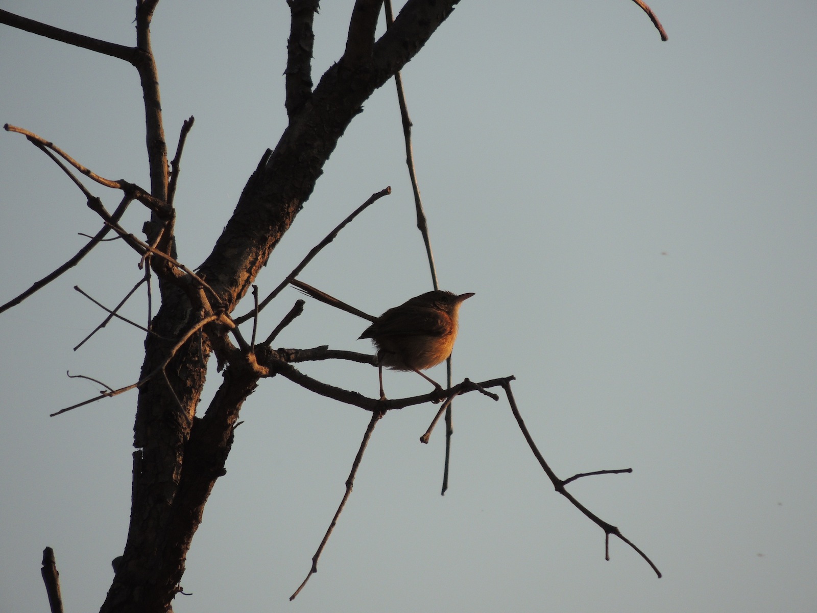 DSCN3138.JPG