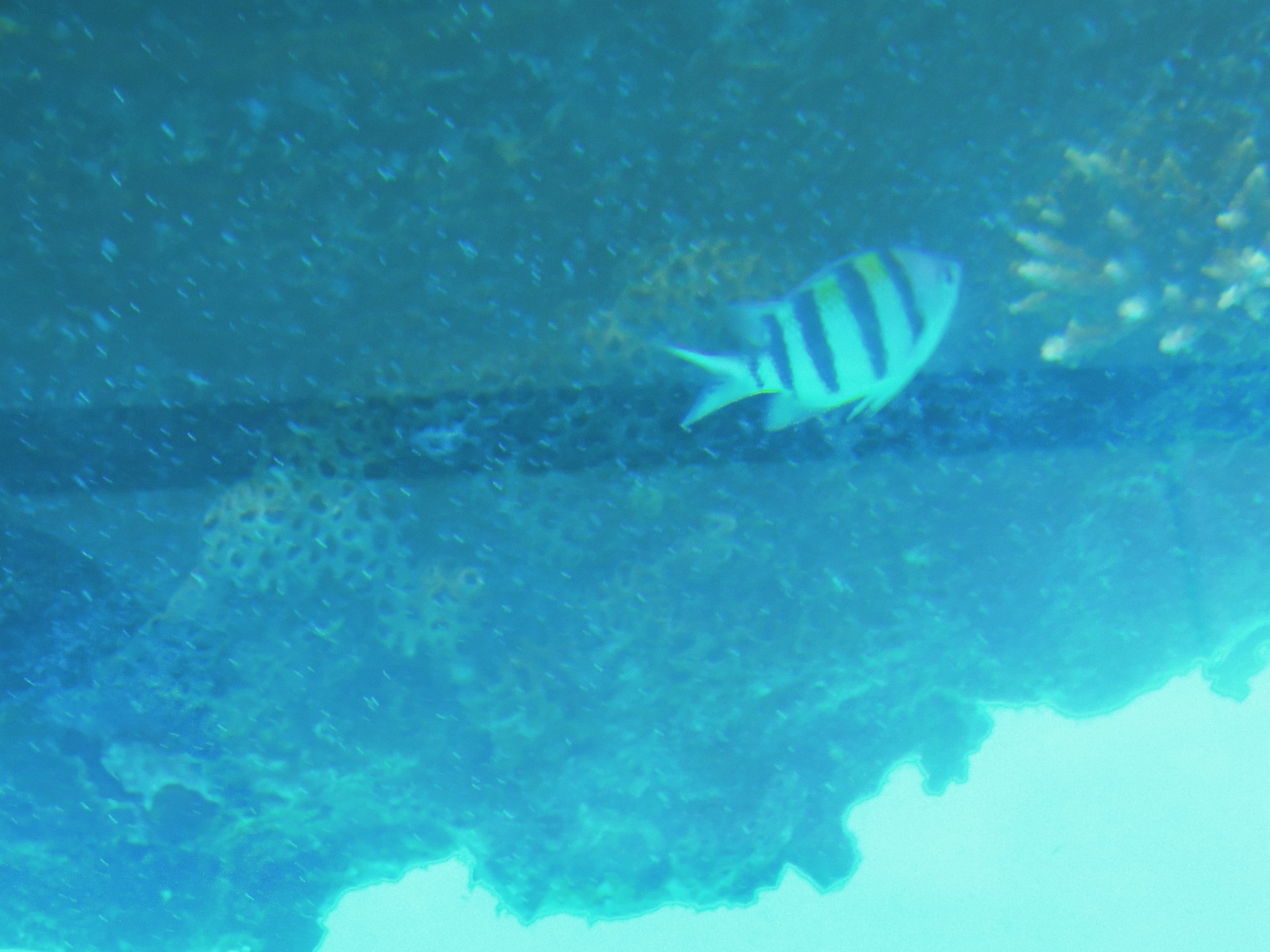 DSCN2583.JPG
