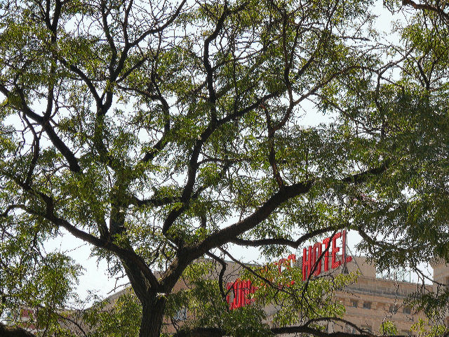 Congress Hotel
