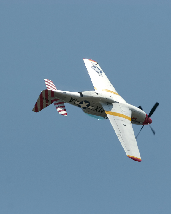 1IMG_5291.jpg