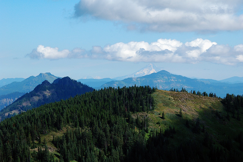 Mount Hood from Crescent Mountain