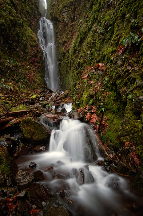 Pacific Crest Falls, winter study