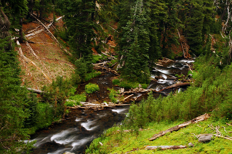 Fall Creek, Study #10