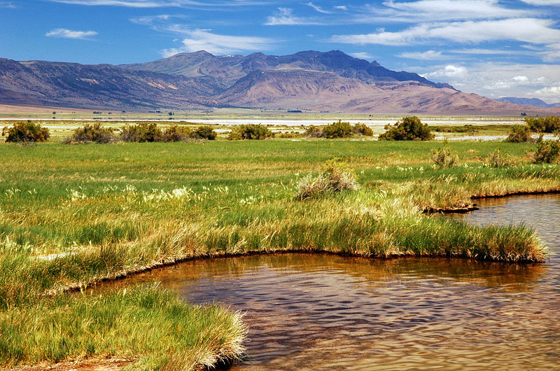 Steens Mountain from Borax Lake