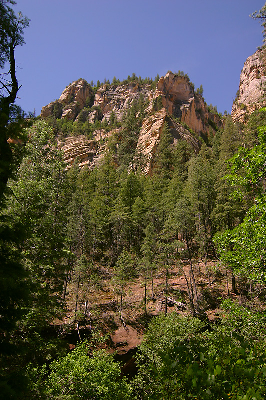 Dwarfed by Nature
