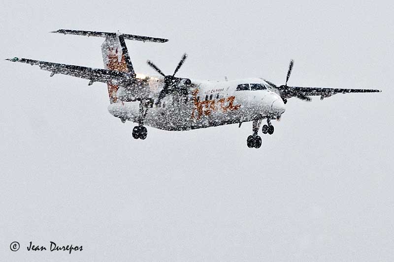 Snowy flight...