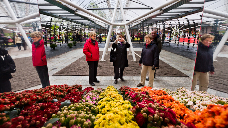 Keukenhof Gardens (15)