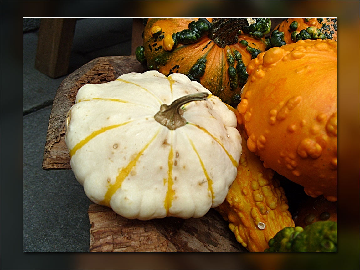 6-gourds.jpg