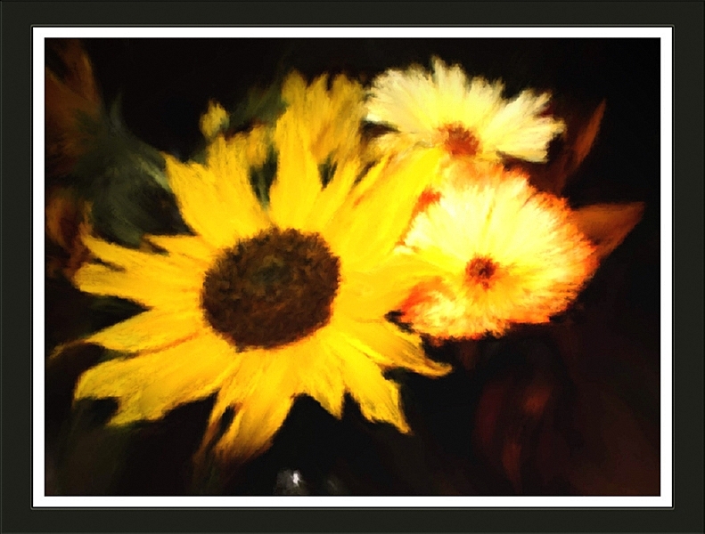 sunflowers