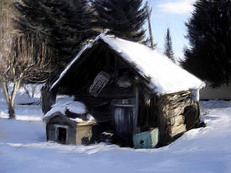 Winter shed...