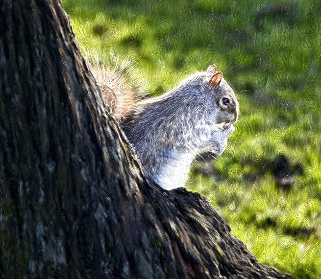 Squirrel oils