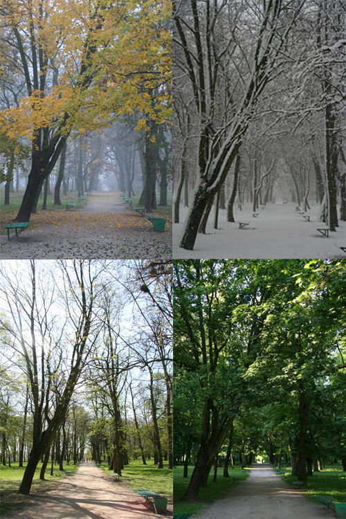Four Seasons In City Park